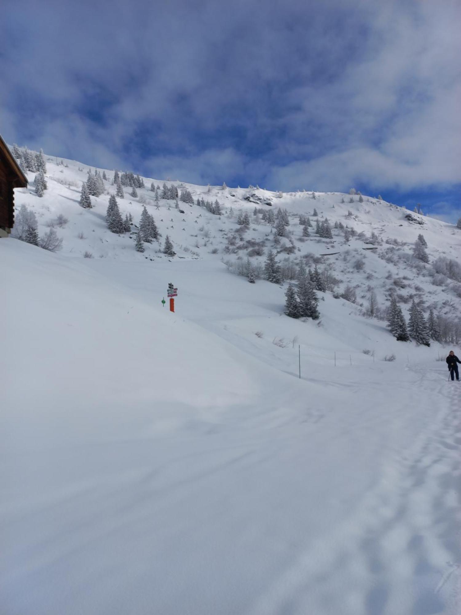 Le Nid Douillet Du Belvedere Montvalezan Bagian luar foto